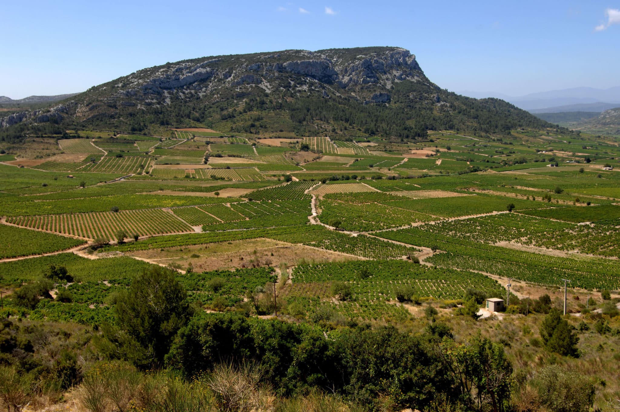 AOP cotes de roussillon